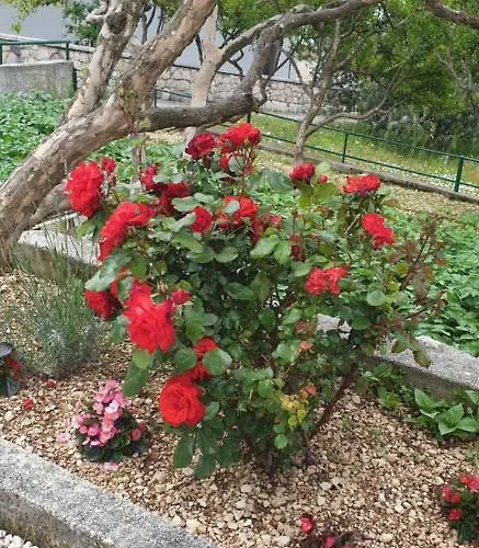 Lägenhet I Big Hill