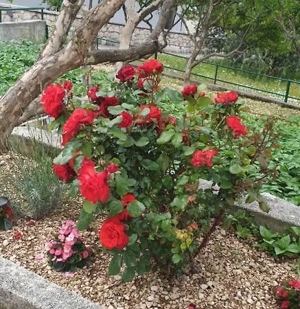 Apartamento I Big Hill